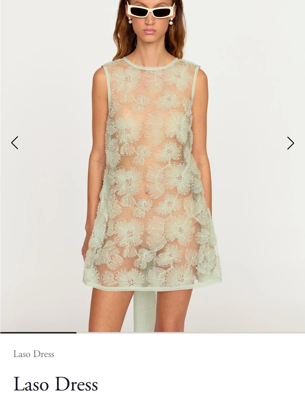 Éliou Laso Sheer Floral A-Line Dress - Pale Green